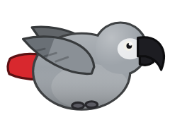 African Grey