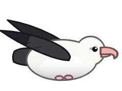 Albatross