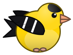 American Goldfinch