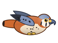 American Kestrel