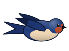 Barn Swallow