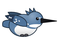 Belted Kingfisher