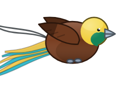 Bird of Paradise