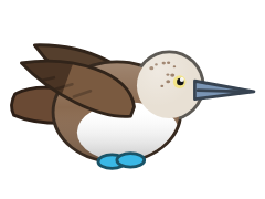 Blue-footed Booby