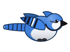 Blue Jay