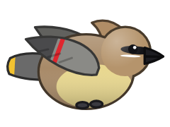 Cedar Waxwing