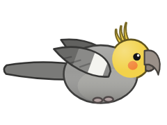 Cockatiel