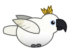 Cockatoo