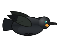 Cormorant