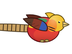 Golden Pheasant