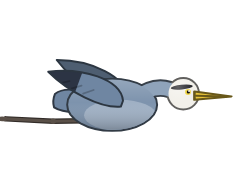 Great Blue Heron