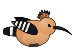 Hoopoe