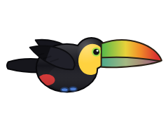 Keel-billed Toucan