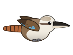 Kookaburra