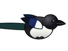 Magpie