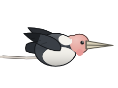 Marabou Stork