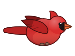 Northern Cardinal