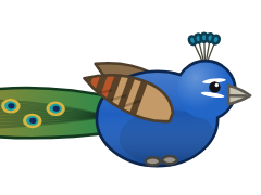 Peacock