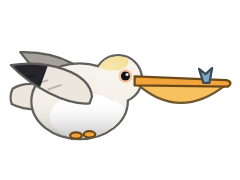 Pelican
