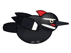 Pileated Woodpecker