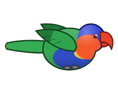 Rainbow Lorikeet
