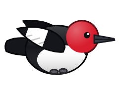 Red-headed Woodpecker