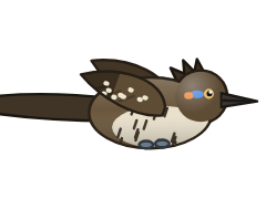 Roadrunner
