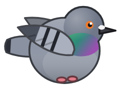 Rock Pigeon