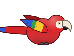 Scarlet Macaw