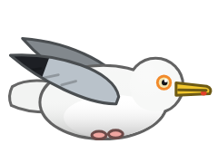 Seagull