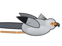 Secretary Bird