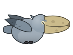Shoebill