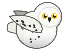 Snowy Owl