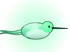 Spirit Hummingbird